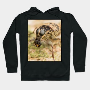 Unique and organic close-up of a fungus weevil (Anthribidae) Hoodie